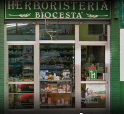 Biocesta - Valencia