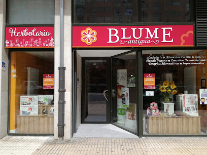 Blume Antigua - Burgos