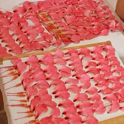 DONNA TIERRA – Santa Ponsa