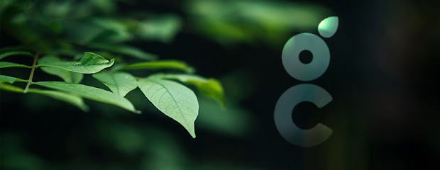 Green Club - Madrid