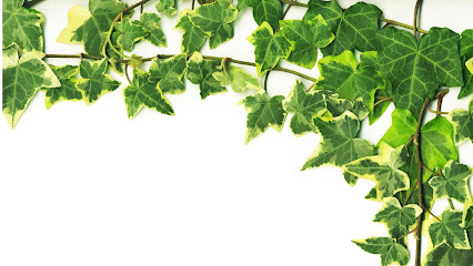 Herbolario Hedera Belardenda - Huarte