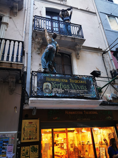 Herboristeria Tradicional Yerbas Vivas - Castellón de la Plana