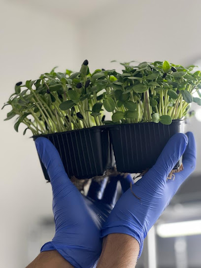 Microplantas Tarragona - Tarragona