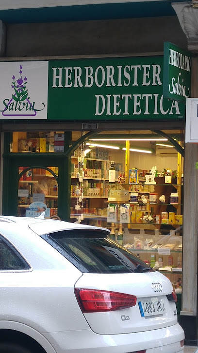 Salvia - Santander